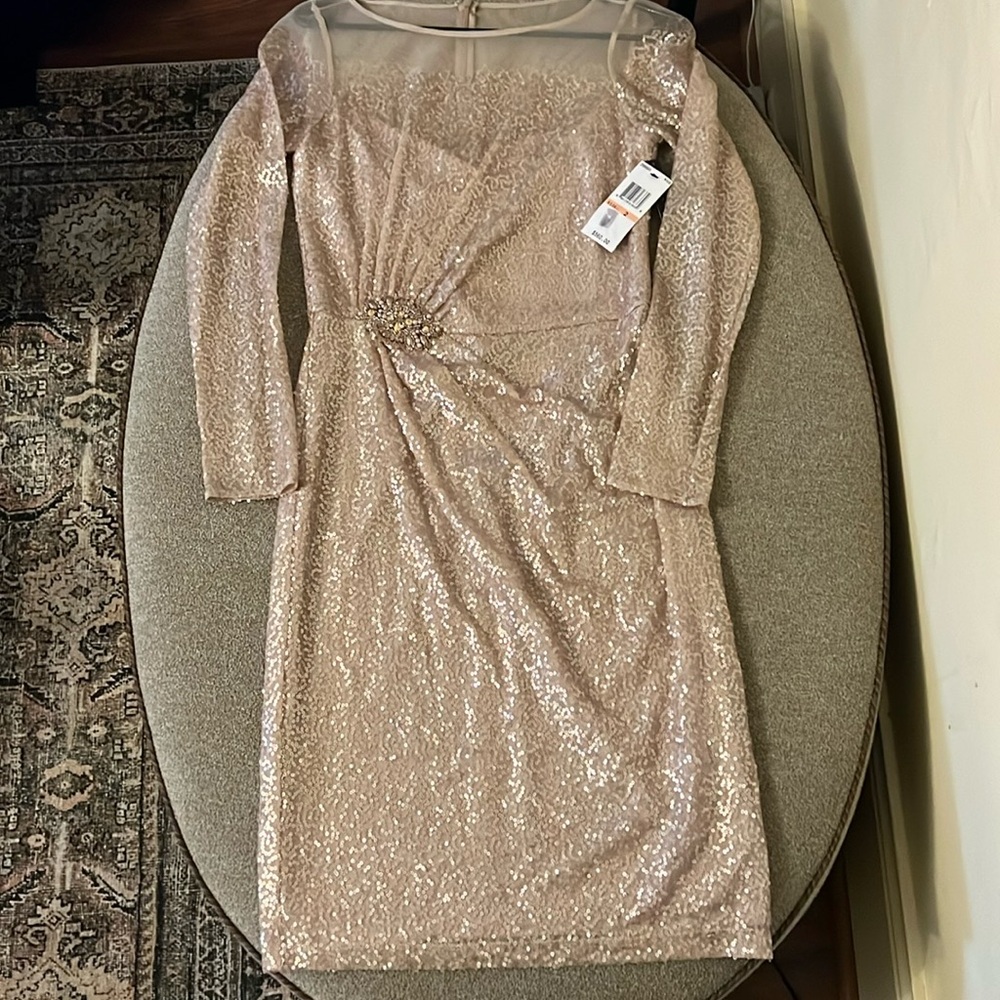 David Meister Womens Blush
Sequins Mesh Beaded Long Sleeve Shift Dress Size 2